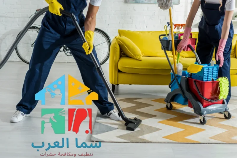 شركة تنظيف فلل في الشارقة - غسيل السجاد مع التجفيف في 30 د