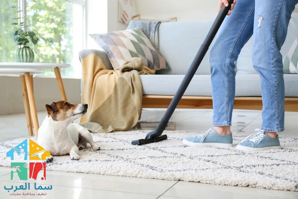 شركة تنظيف فلل في الفجيرة