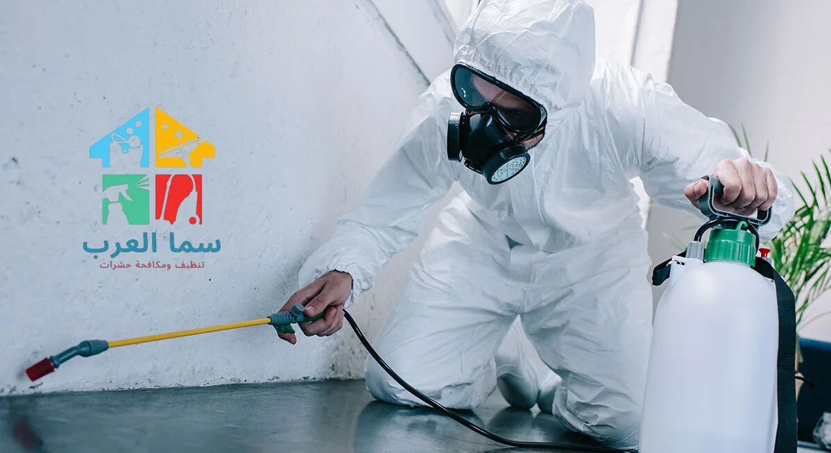 شركة مكافحة حشرات في دبي