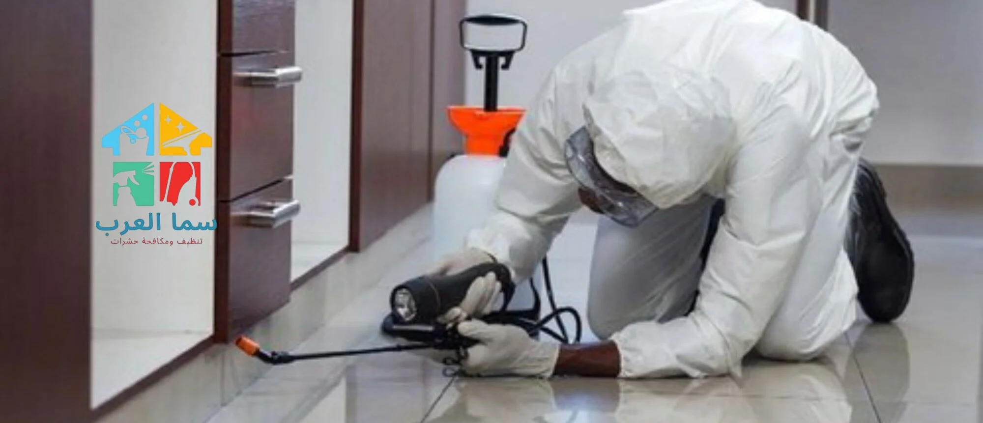 شركة مكافحة النمل الابيض في دبي
