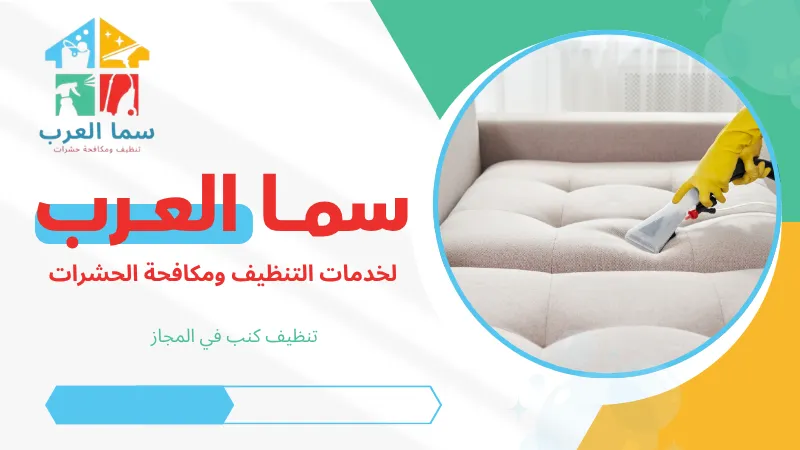 تنظيف كنب في المجاز