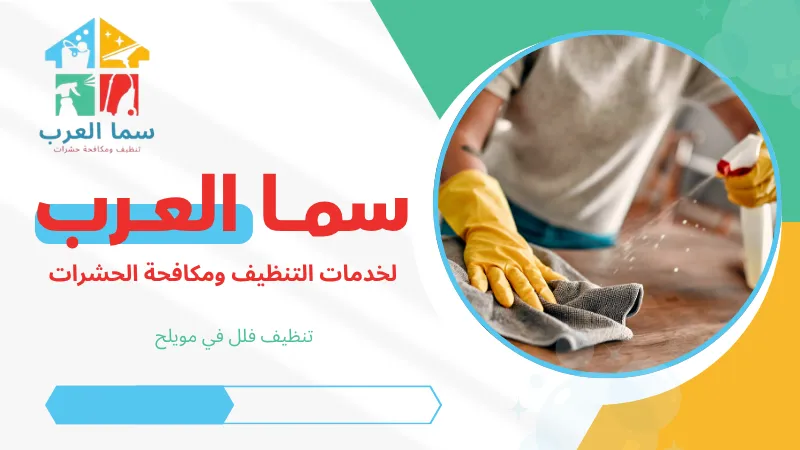 تنظيف فلل في مويلح