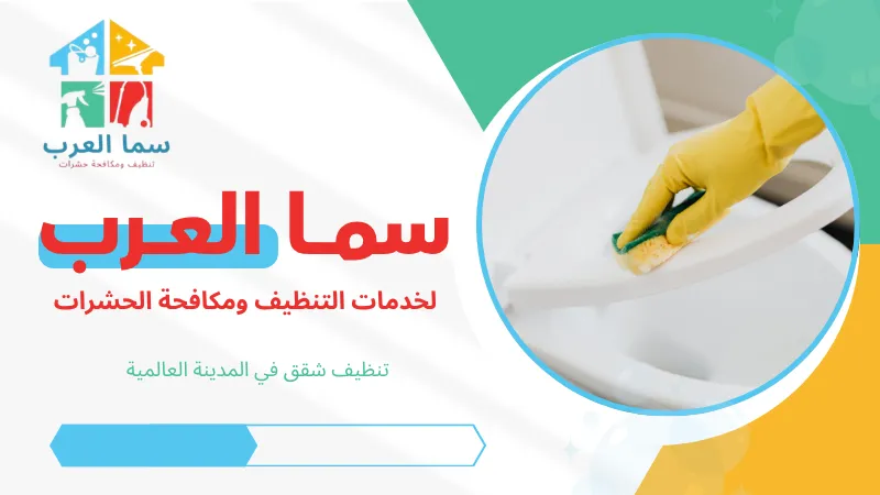 تنظيف شقق في المدينة العالمية